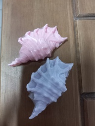 [JA/133] JABON CONCHA DE MAR